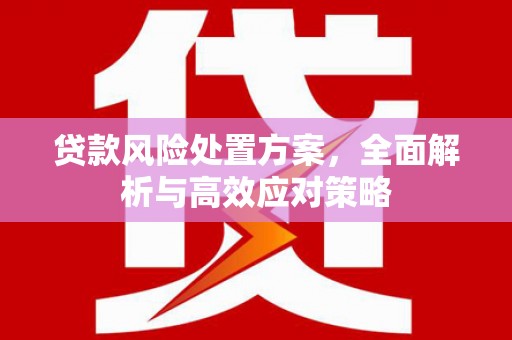 普格贷款风险处置方案，全面解析与高效应对策略