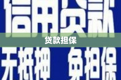 普格贷款担保