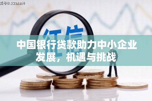 普格中国银行贷款助力中小企业发展，机遇与挑战