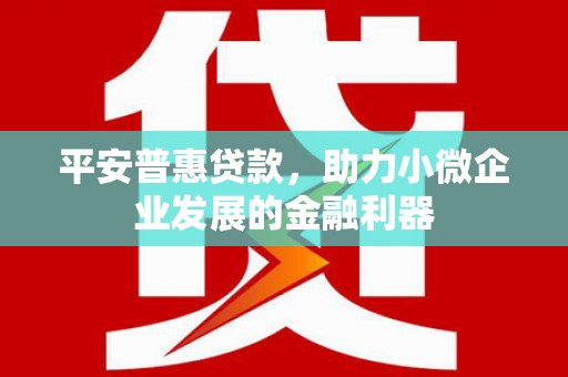 普格平安普惠贷款，助力小微企业发展的金融利器