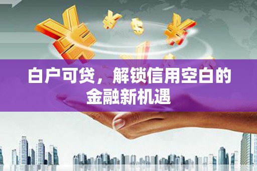 普格白户可贷，解锁信用空白的金融新机遇