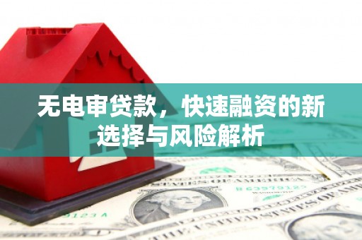 普格无电审贷款，快速融资的新选择与风险解析