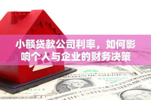 普格小额贷款公司利率，如何影响个人与企业的财务决策