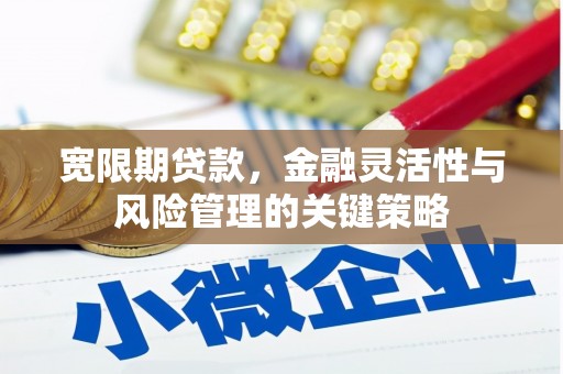 普格宽限期贷款，金融灵活性与风险管理的关键策略