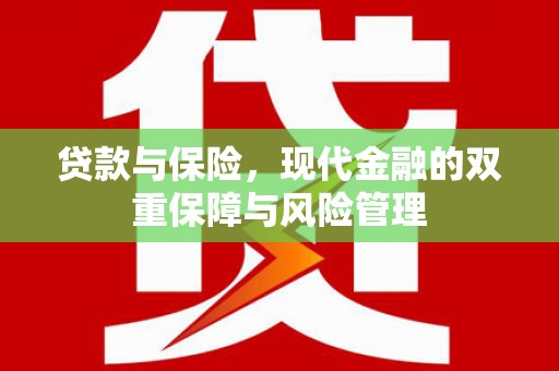 普格贷款与保险，现代金融的双重保障与风险管理