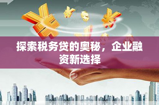 普格探索税务贷的奥秘，企业融资新选择