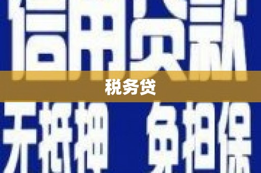 普格税务贷