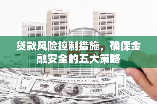 普格贷款风险控制措施，确保金融安全的五大策略