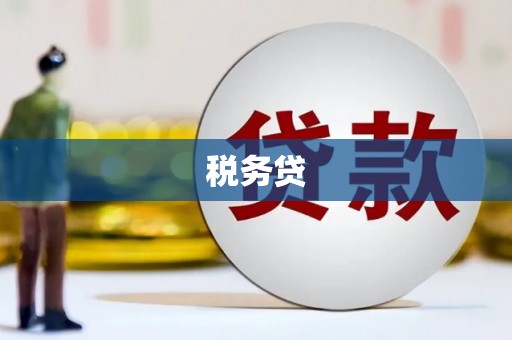 普格税务贷