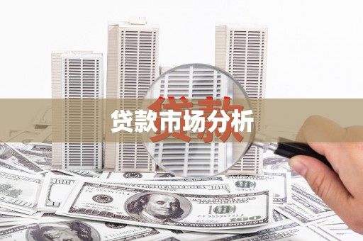 普格贷款市场分析