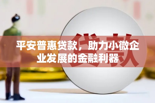 普格平安普惠贷款，助力小微企业发展的金融利器