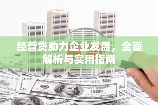 普格经营贷助力企业发展，全面解析与实用指南