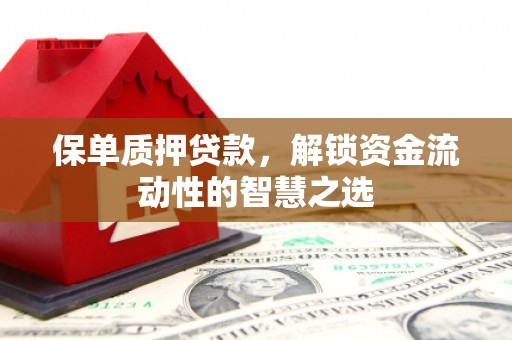普格保单质押贷款，解锁资金流动性的智慧之选