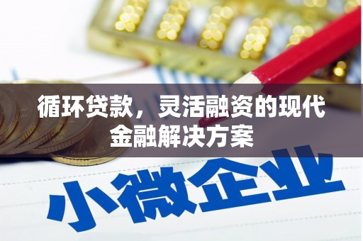 普格循环贷款，灵活融资的现代金融解决方案