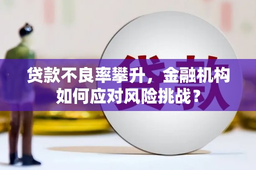 普格贷款不良率攀升，金融机构如何应对风险挑战？