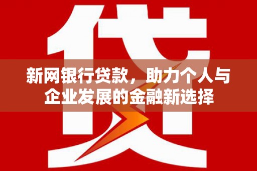 普格新网银行贷款，助力个人与企业发展的金融新选择