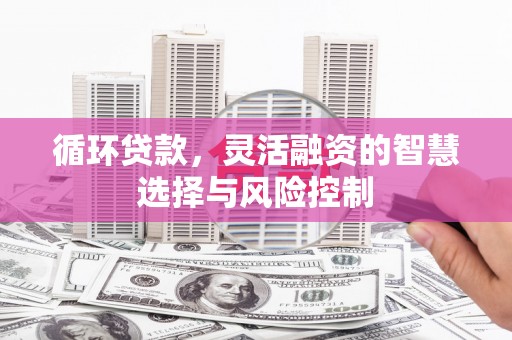普格循环贷款，灵活融资的智慧选择与风险控制