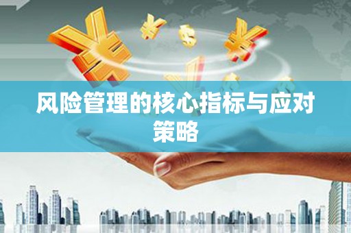 普格风险管理的核心指标与应对策略