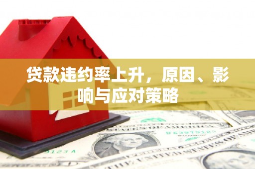 普格贷款违约率上升，原因、影响与应对策略