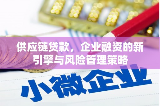 普格供应链贷款，企业融资的新引擎与风险管理策略