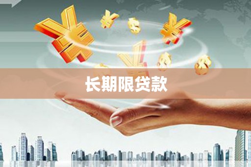 普格长期限贷款