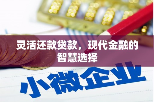 普格灵活还款贷款，现代金融的智慧选择