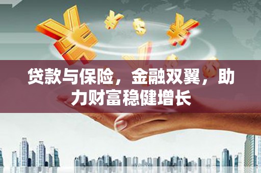 普格贷款与保险，金融双翼，助力财富稳健增长