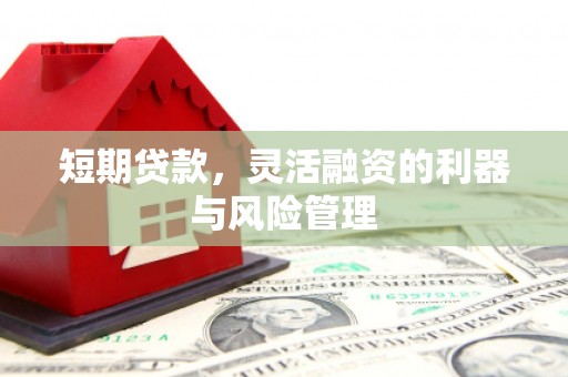 普格短期贷款，灵活融资的利器与风险管理