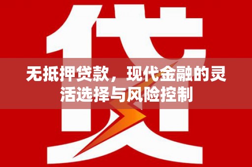 普格无抵押贷款，现代金融的灵活选择与风险控制