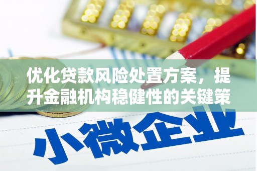 普格优化贷款风险处置方案，提升金融机构稳健性的关键策略