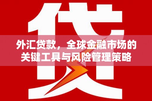 普格外汇贷款，全球金融市场的关键工具与风险管理策略