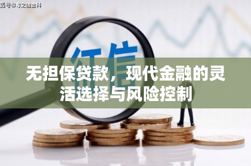 普格无担保贷款，现代金融的灵活选择与风险控制