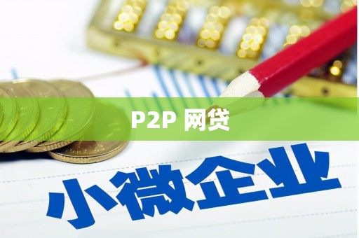 普格P2P 网贷