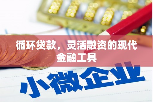 普格循环贷款，灵活融资的现代金融工具
