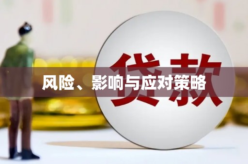 普格风险、影响与应对策略