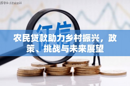 普格农民贷款助力乡村振兴，政策、挑战与未来展望