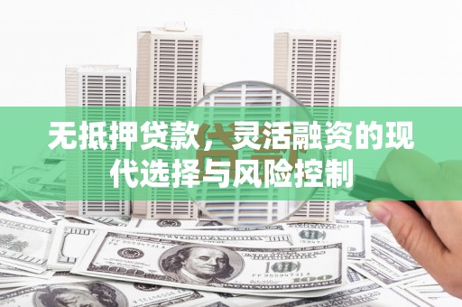 普格无抵押贷款，灵活融资的现代选择与风险控制