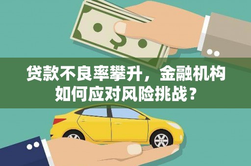 普格贷款不良率攀升，金融机构如何应对风险挑战？