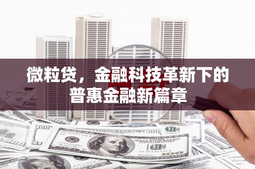 普格微粒贷，金融科技革新下的普惠金融新篇章