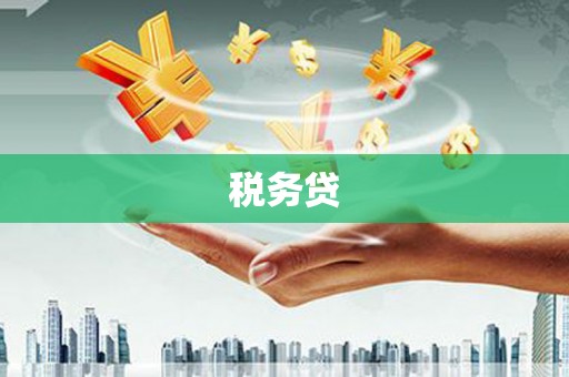普格税务贷