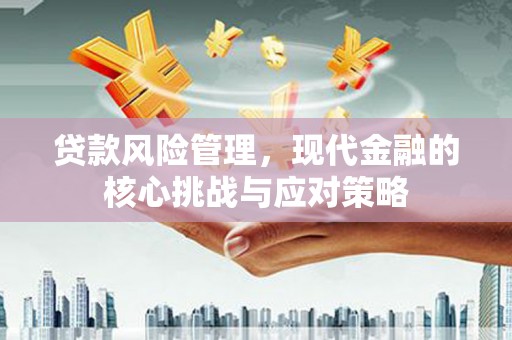 普格贷款风险管理，现代金融的核心挑战与应对策略