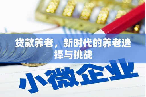 普格贷款养老，新时代的养老选择与挑战