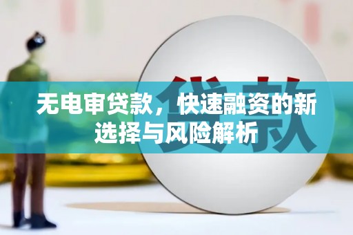 普格无电审贷款，快速融资的新选择与风险解析