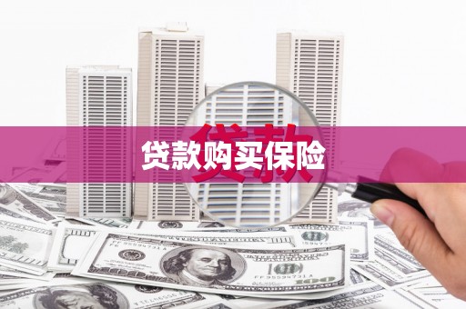 普格贷款购买保险
