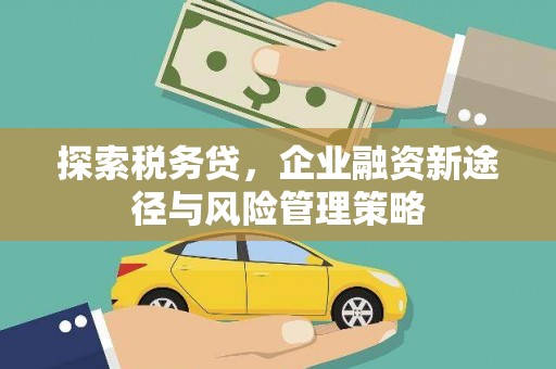 普格探索税务贷，企业融资新途径与风险管理策略