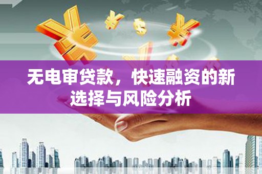 普格无电审贷款，快速融资的新选择与风险分析