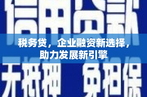 普格税务贷，企业融资新选择，助力发展新引擎