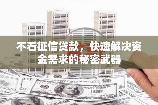 普格不看征信贷款，快速解决资金需求的秘密武器