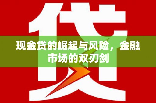 普格现金贷的崛起与风险，金融市场的双刃剑