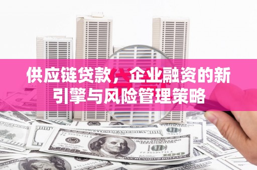 普格供应链贷款，企业融资的新引擎与风险管理策略